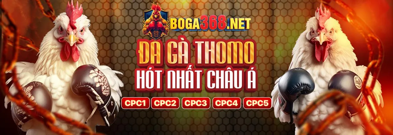 Tin tức King88vina mới nhất