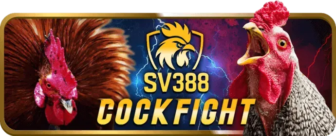 Khuyến mãi hoàn trả hàng ngày King88vina